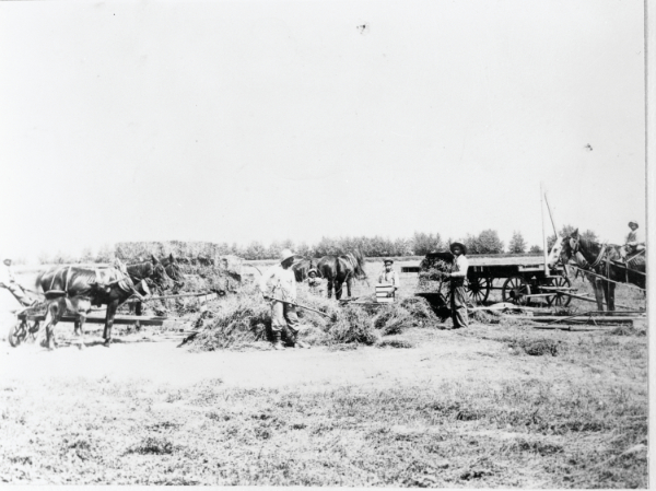 Blackdom Township farmers, 1911. Courtesy New Mexico State University Library, Rio Grande Historical Collection, neg. no. RG98-103-001.