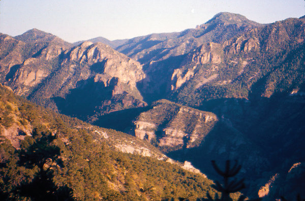 Figure 4: Datil-Mogollon Highlands, Gila Wilderness: The cliffs are eroded volcanic rock from multiple, gigantic, caldera super-eruptions that built today’s Mogollon Mountains and other mountain ranges such as the Datil, Black, Socorro, and Magdalena Mountains. Photograph by J.F. Callender.