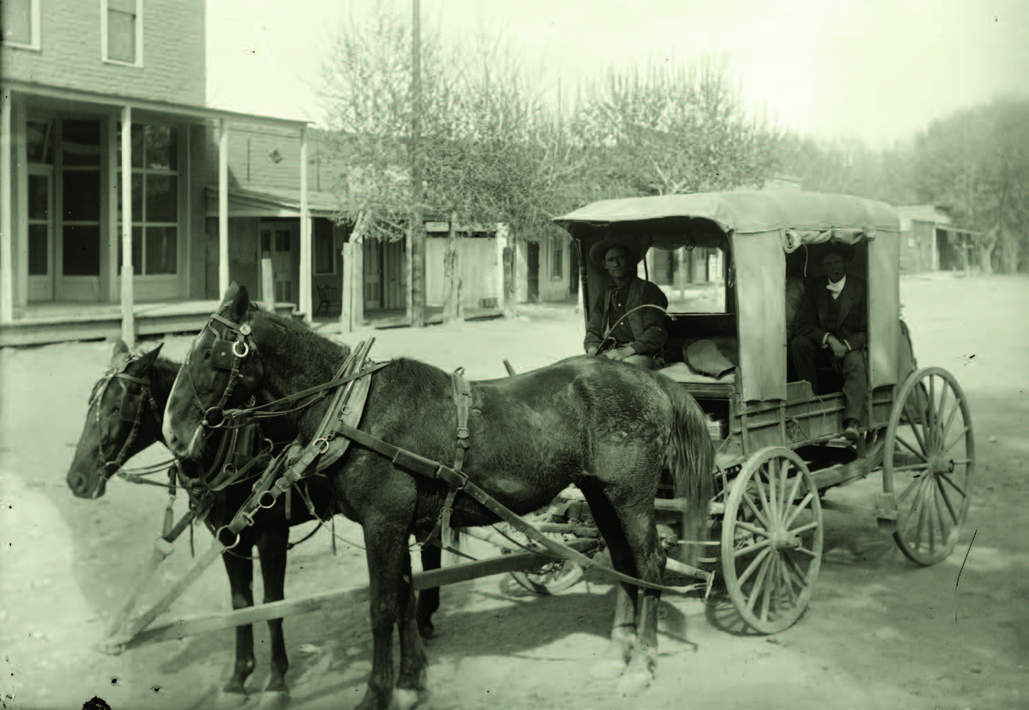 Mail carriers in a horse buggy in the mining area of Kingston and Hillsboro, New Mexico, ca. 1895–1902. Photograph by George T. Miller. Palace of the Governors Photo Archives (NMHM/DCA), Neg. No. 076559..