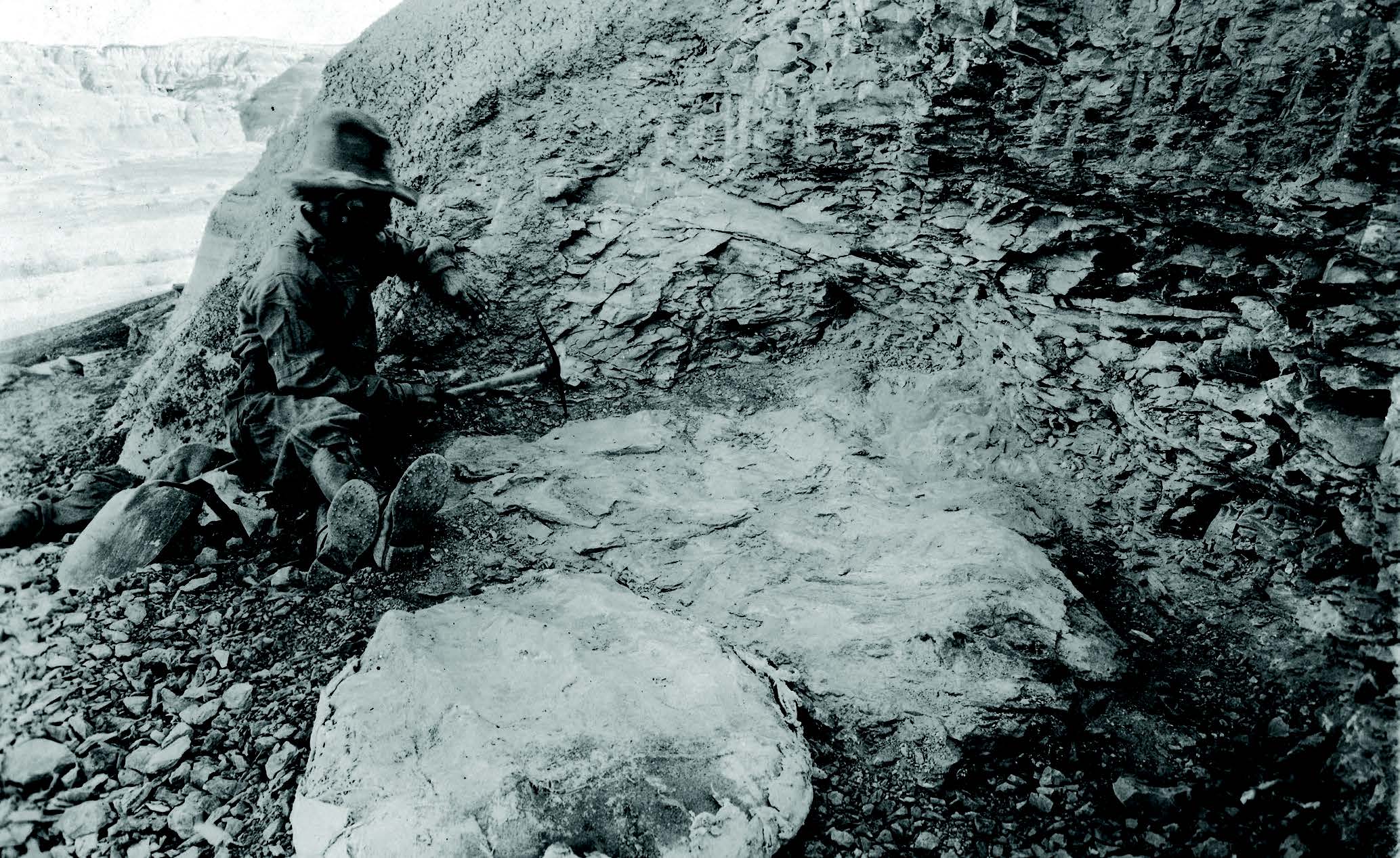 In the 1920s, Charles Sternberg, in his early seventies, collected dinosaur fossils in the badlands south of Farmington in San Juan County. © San Diego Society of Natural History, all rights reserved.