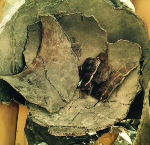 Pottery sherds of the Jornada Mogollon storage vessel as delivered to Lincoln Historic Site by Ervin Aldaz in January 2015.