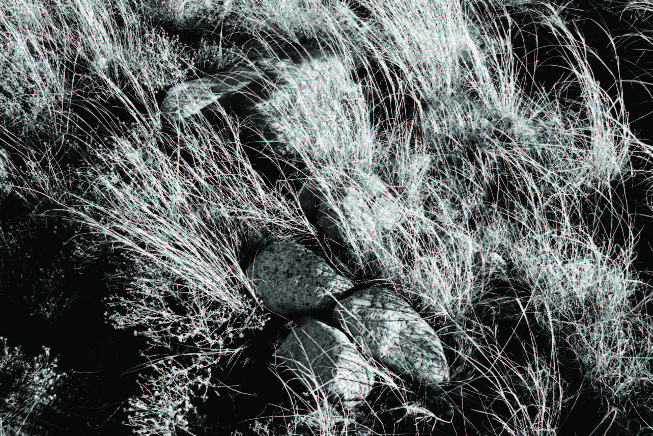 Algodones, New Mexico, 2011. Pigment print. El Palacio