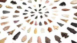 A selection of projectile points in ARC’s education collection, MIAC EDU62649. Photograph by Chris Dorantes.