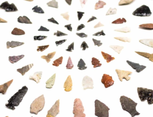 A selection of projectile points in ARC’s education collection, MIAC EDU62649. Photograph by Chris Dorantes.