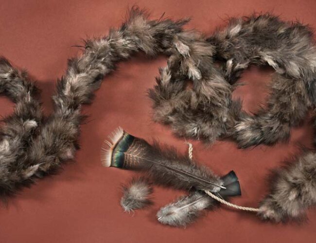 Turkey_Feather_Boa