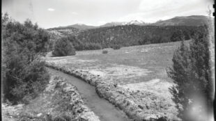 Acequia (irrigation ditch) possibly near Cordova or Truchas, New Mexico, ca. 1925–1945. Photograph by T. Harmon Parkhurst. Courtesy the T. Harmon Parkhurst Collection, the Palace of the Governors Photo Archives (NMHM/ DCA), neg. no. 069231.