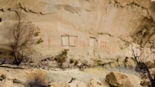 Thieves cut out Navajo images from this cliff face south of Bloomfield, New Mexico. Photograph courtesy Kenneth Russell.