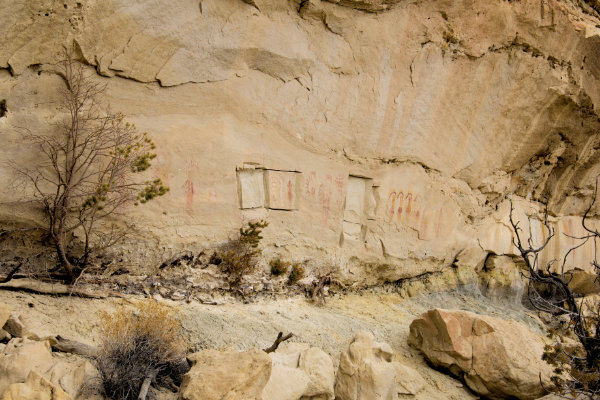 Thieves cut out Navajo images from this cliff face south of Bloomfield, New Mexico. Photograph courtesy Kenneth Russell.