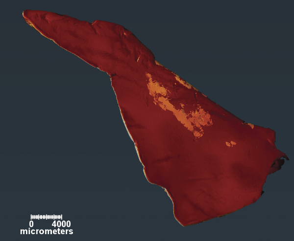 XRF imaging maps the location of different materials inside an arrowhead found at Coronado Historic Site.