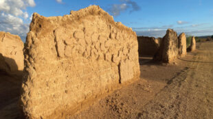 Over the course of its existence as a state monument and historic site, Fort Selden received not only attention to stabilize and preserve its adobe walls, but it also garnered attention for adobe experimentation