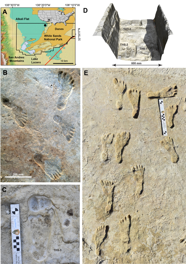 Researchers mapped and modeled the excavation trenches and associated
footprints using 3D technology, the result of which can be seen in the upper righthand
corner, section D. Image courtesy the National Park Service.