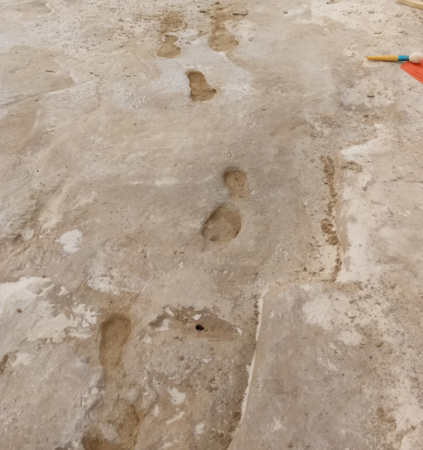 Recently exposed ancient human prints at White Sands. Photograph courtesy the National Park Service.