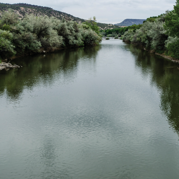 The Rio Grande just below Mesa Prieta.