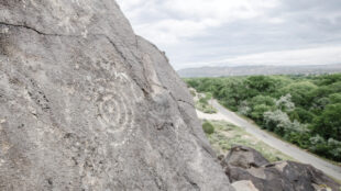 Petroglyphs of a war club, concentric circles, and a partial human figure on the lower right overlook the northern Rio Grande Valley on Mesa Prieta.
